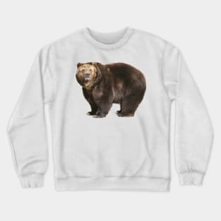 Brown Bear Crewneck Sweatshirt